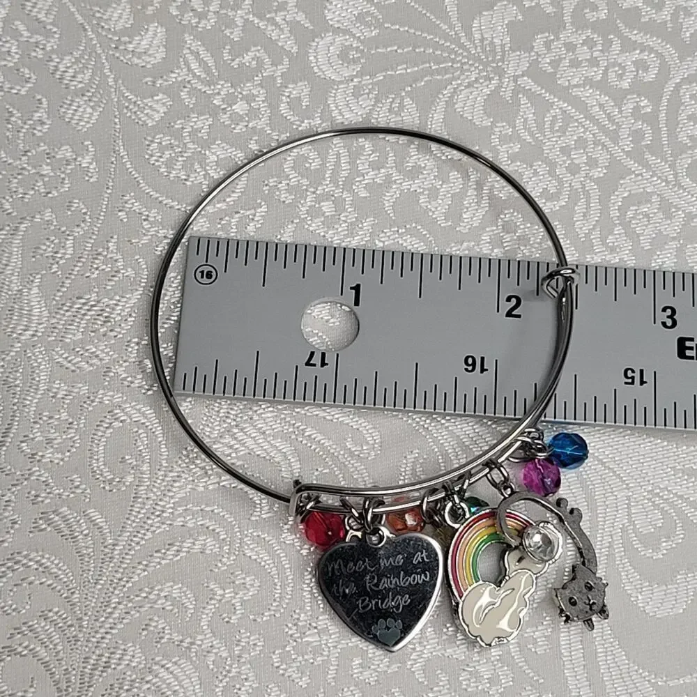 Rainbow Bridge cat women's charm bracelet‎ silver tone multicolor tribute loss